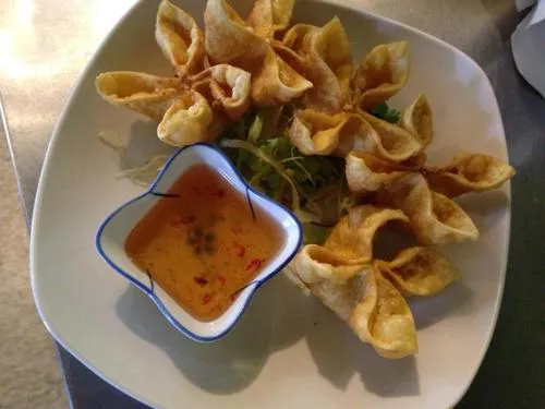 Crispy appetizers including Crab Rangoons and Spring Rolls on the Siam Orchid Thai Restaurant menu