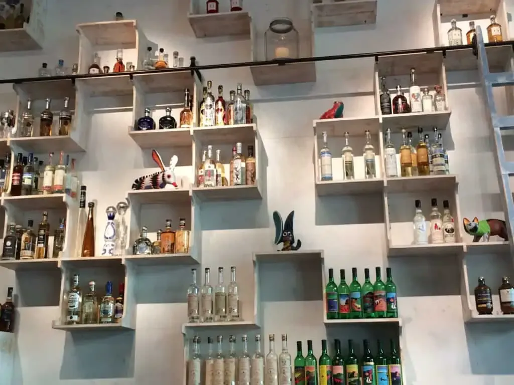 allintitle:calavera restaurant menu: The back bar displaying the extensive mezcal collection