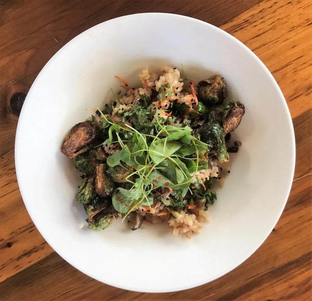 A vibrant Teriyaki Grain Bowl, brimming with fresh vegetables and wholesome grains, reflecting the diverse offerings on the moxie's restaurant menu