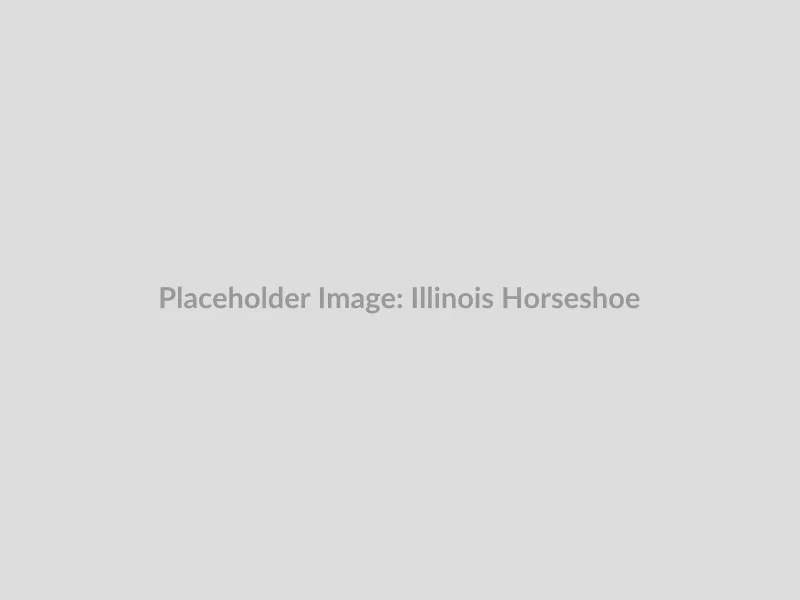 A photograph of a freshly prepared Illinois Horseshoe, featuring French fries and cheese sauce