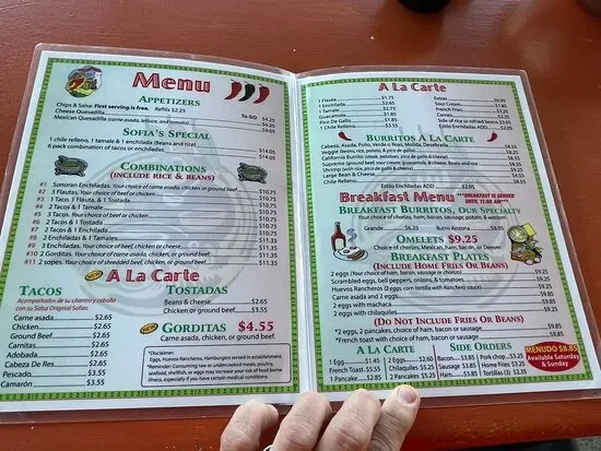 A close-up image showing a variety of Sofia's Mexican food, possibly including tacos and an appetizer