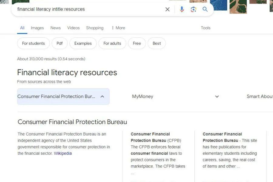 Search results showing resource sites related to "NYC restaurants" for link prospects.