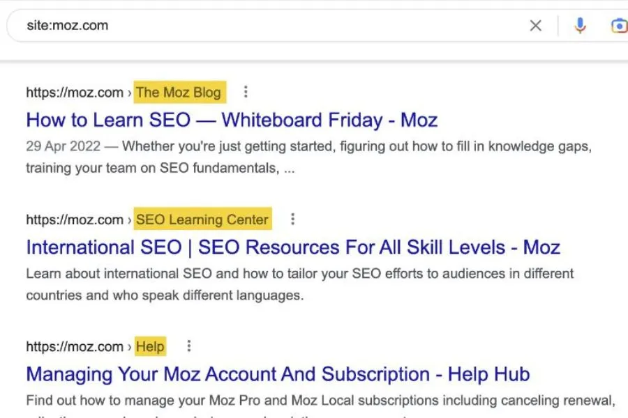 Analyzing the published content of a competitor's website using the site: command.