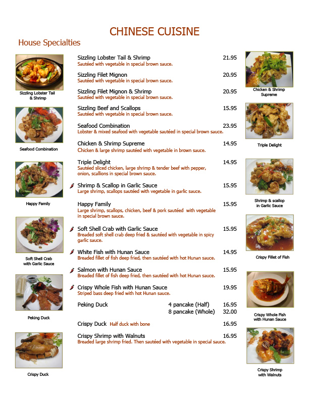 great hunan chinese restaurant menu: The Biomechanics and Optimization of Surgical Soft Tissue Cutting Instruments