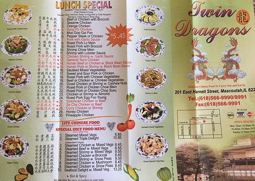 twin dragons restaurant menu — A Comprehensive Guide to Rochester’s Favorite Chinese-American Staples